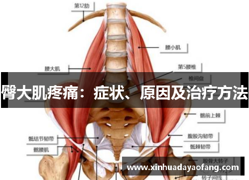 臀大肌疼痛：症状、原因及治疗方法